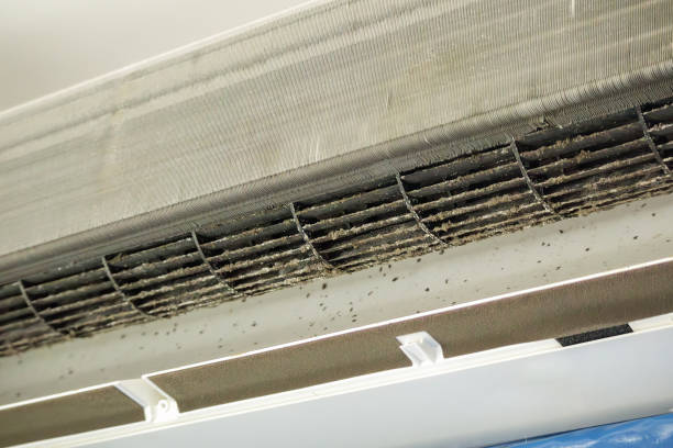 Best Affordable Duct Cleaning Services  in Genola, UT